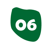 og_6