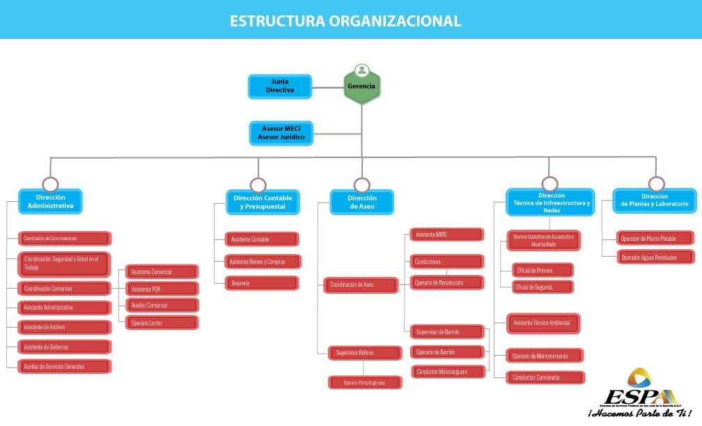 12.-Organigrama-Espa-2019