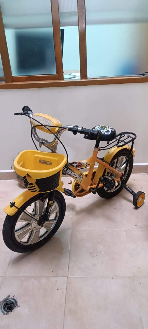 BI-01 Bicicleta